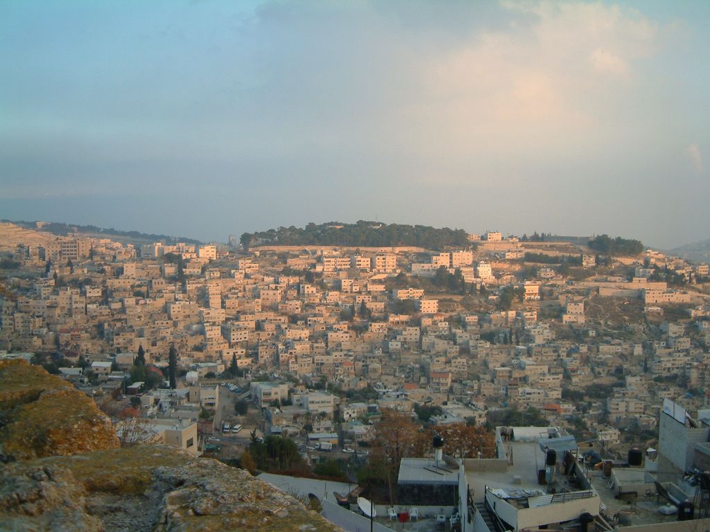 res675522041.jpg