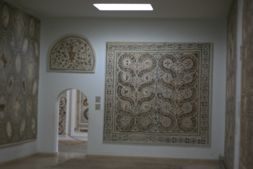 There are lots of rooms showing mosaics