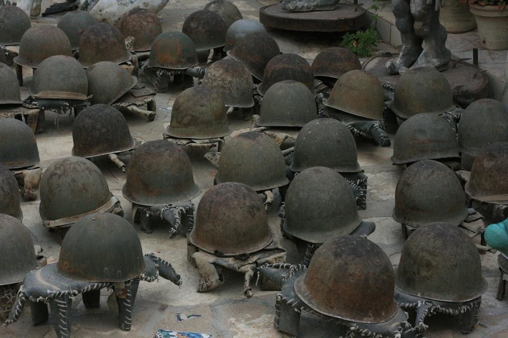 turtles?