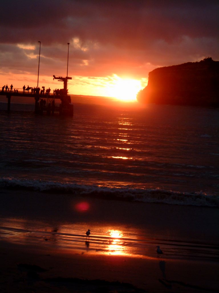 DSCF0270.JPG