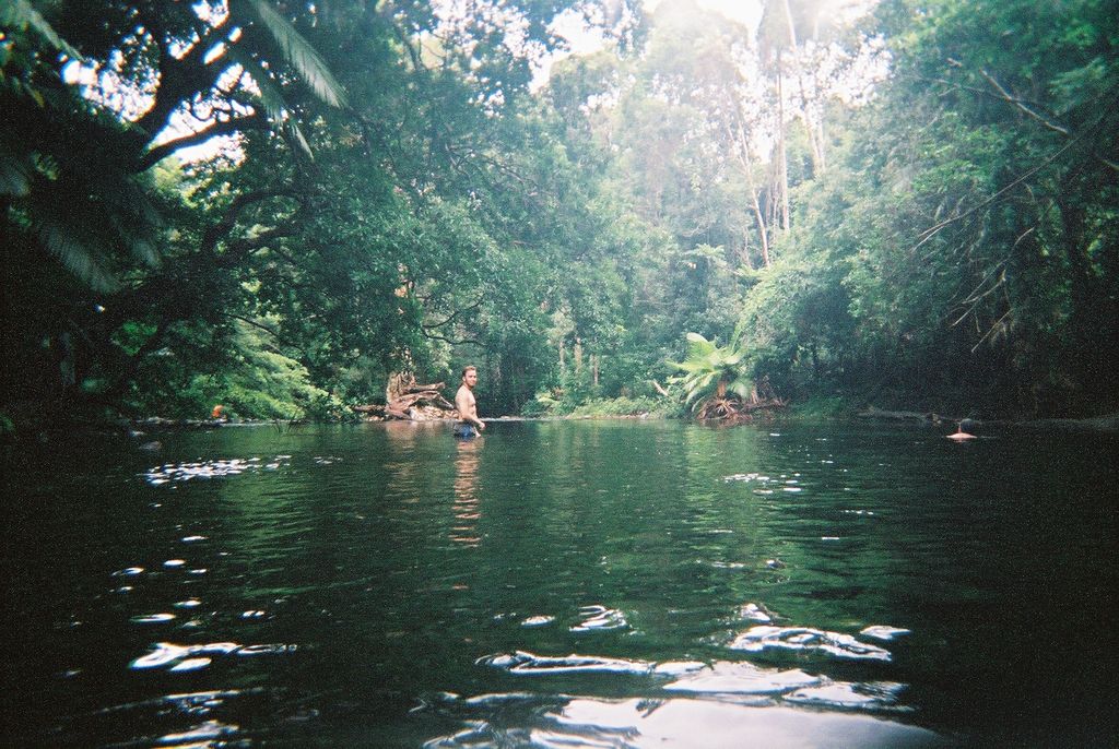 lush green