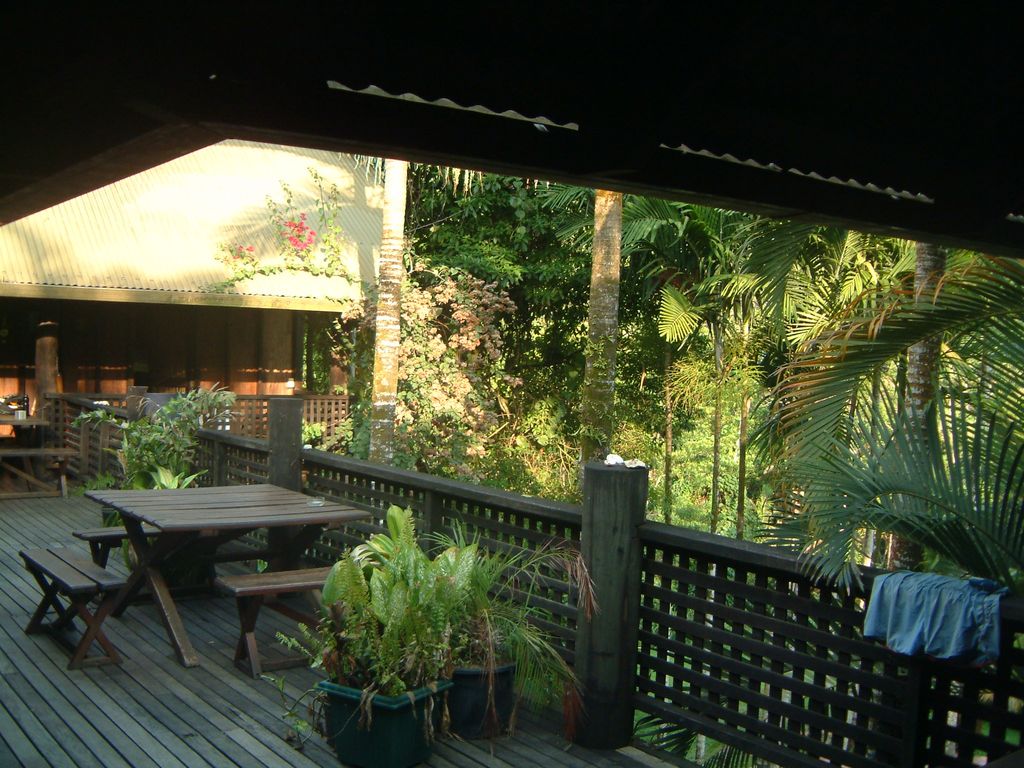 Hostel in the jungle