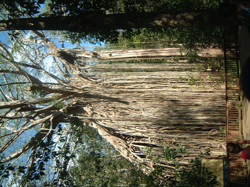 DSCF0458.JPG