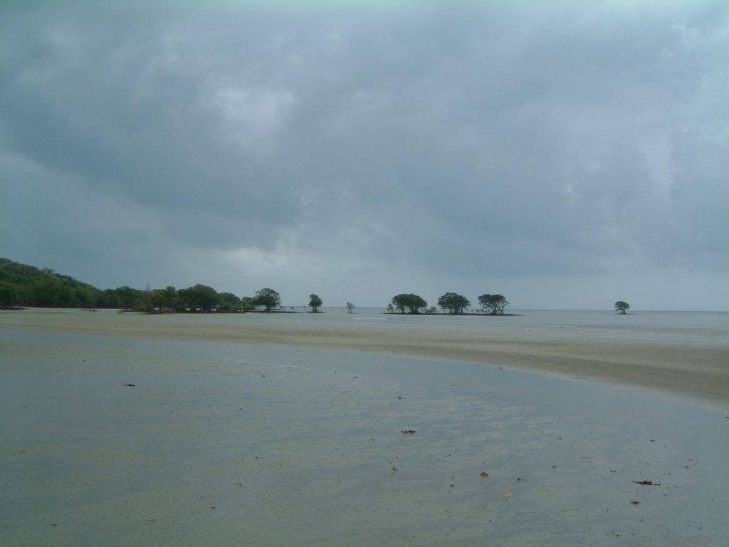 DSCF0502.JPG