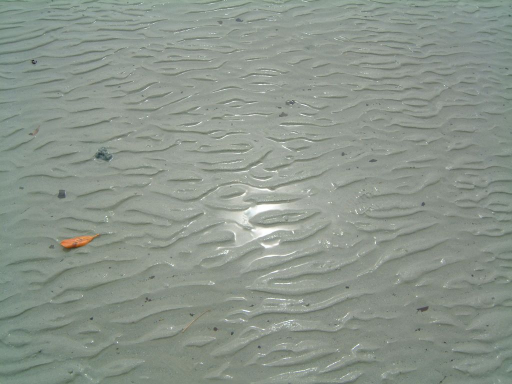 The Beach