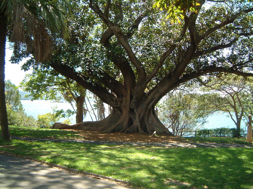 DSCF0024.JPG