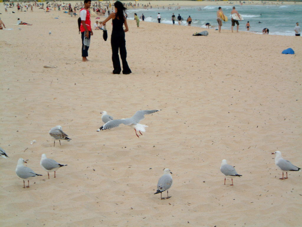 DSCF0050.JPG