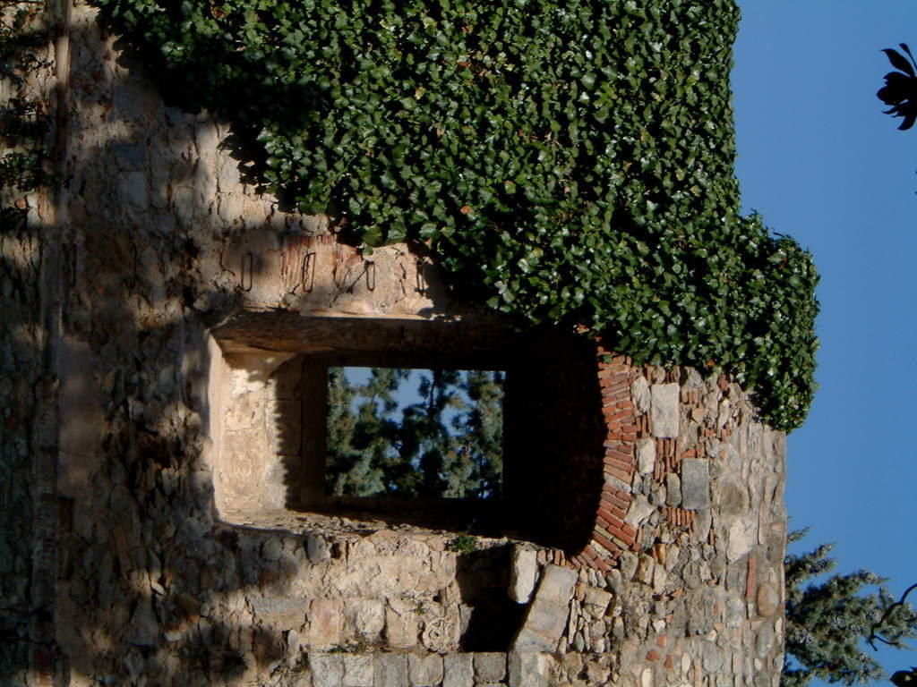 dscf0113.jpg