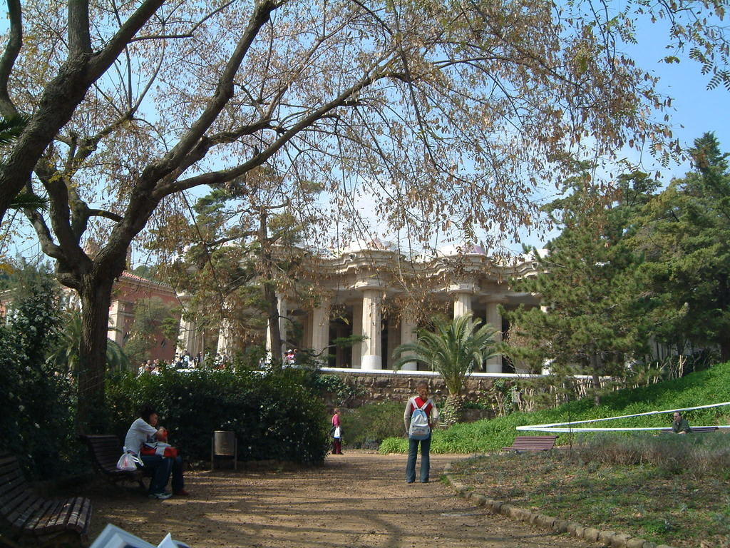dscf0139.jpg