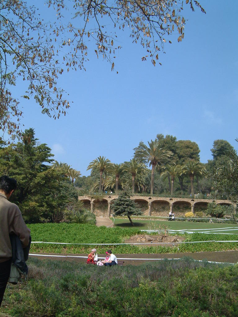 dscf0140.jpg