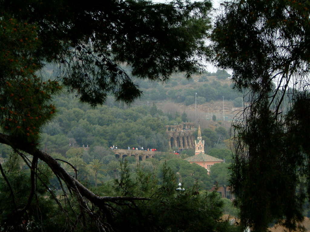 dscf0146.jpg