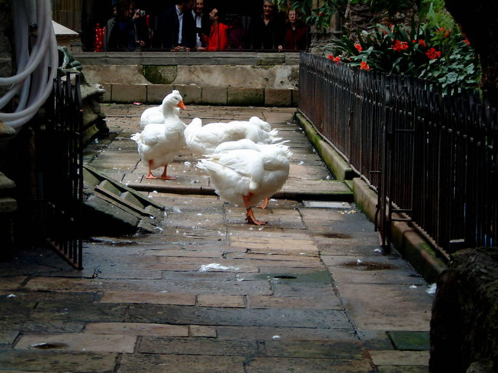 dscf0164.jpg
