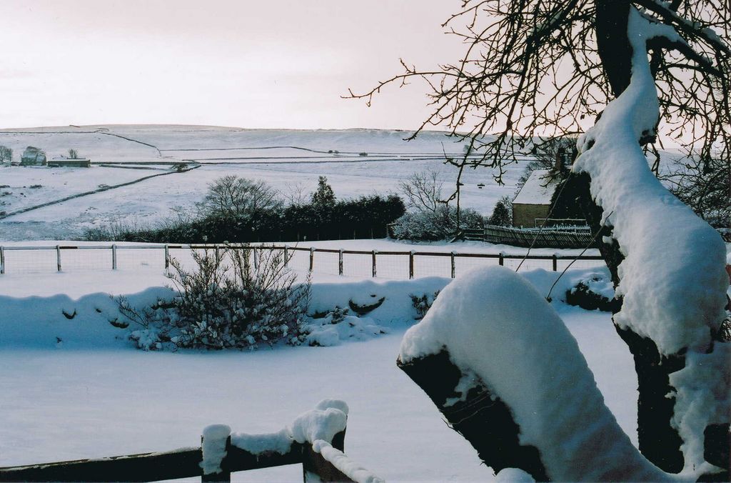 View from the garden - RL