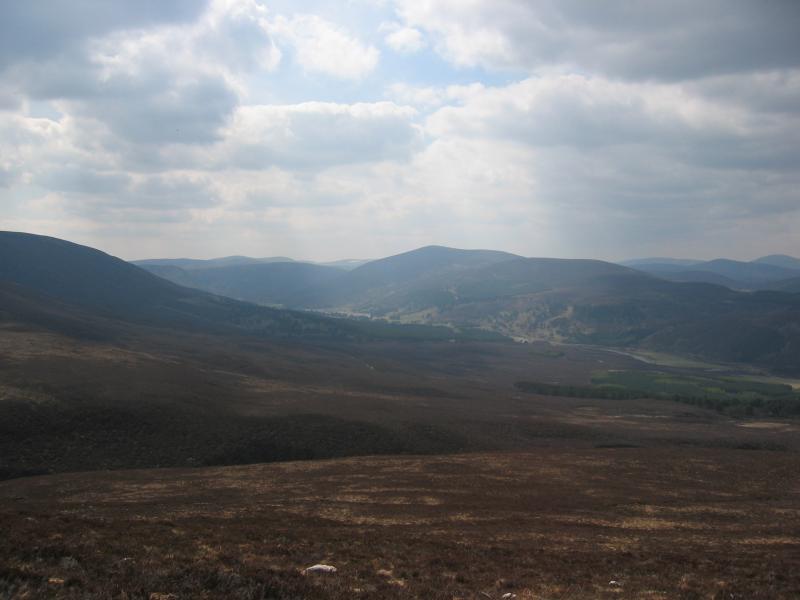 Glen Feshie