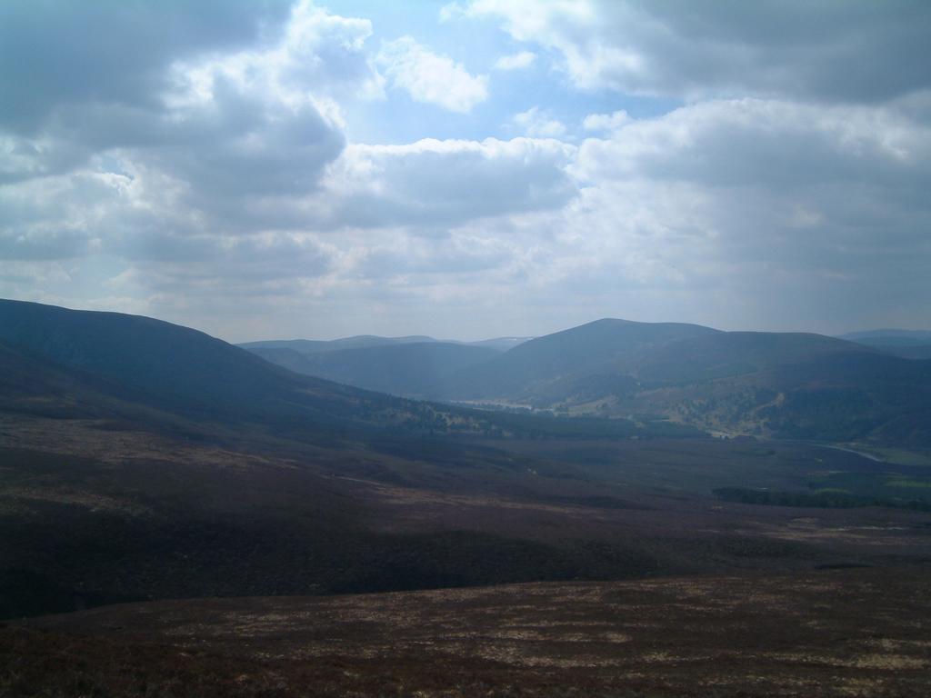 dscf0003.jpg
