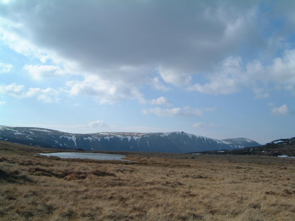 dscf0022.jpg