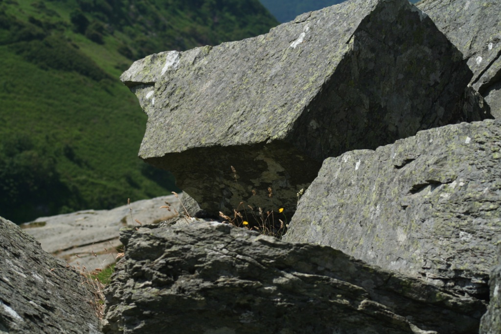 Rocks in the Valley of the Rocks