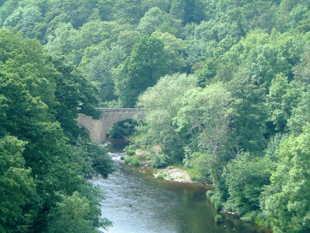 dscf0043.jpg