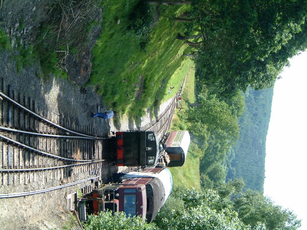 dscf0049.jpg