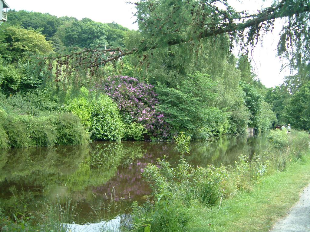 dscf0051.jpg