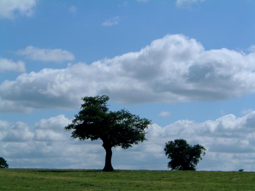 dscf0104.jpg