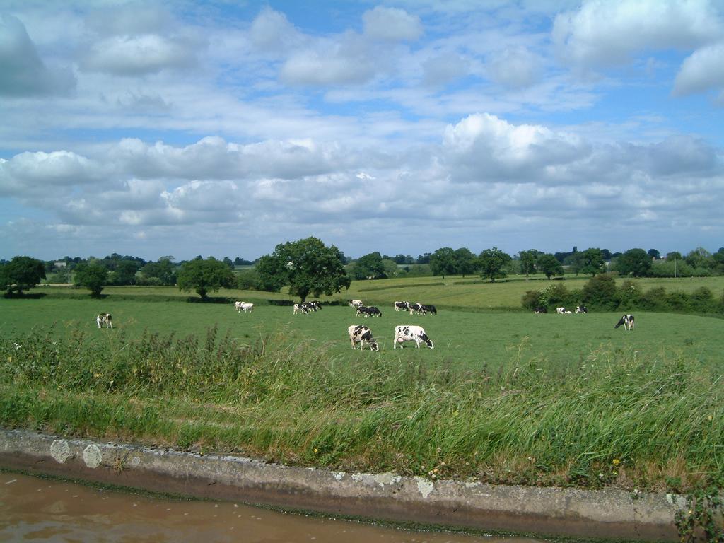 dscf0105.jpg