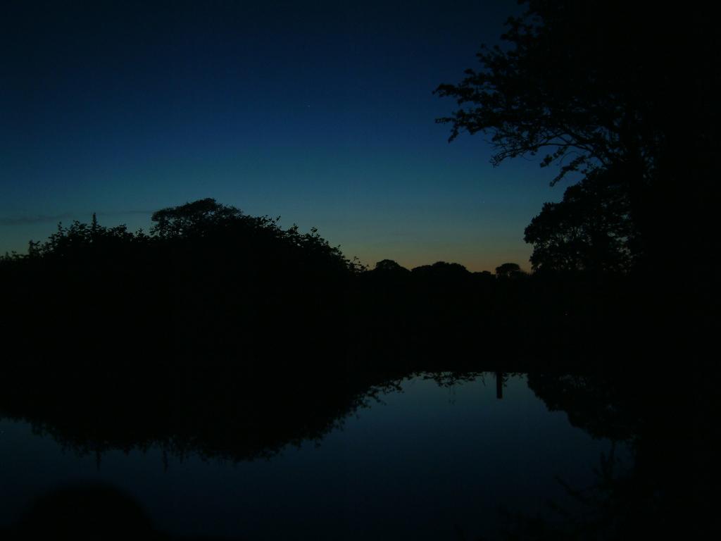 dscf0118.jpg