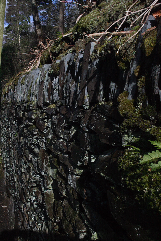 A Wall
