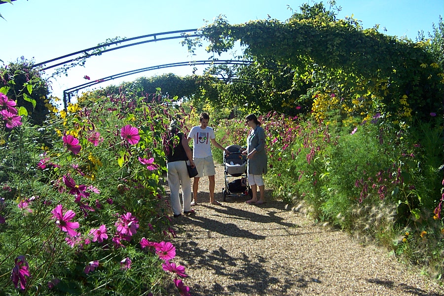 ideas for the garden - etc 160904 001.jpg