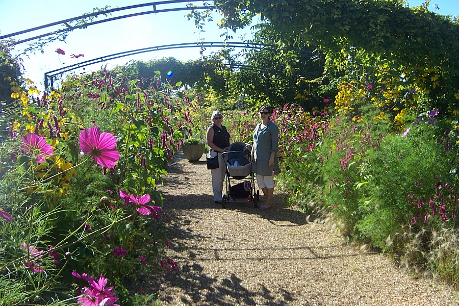 ideas for the garden - etc 160904 002.jpg