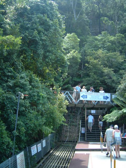 The scenic railway