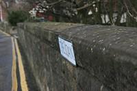 IMG_0766-1.JPG