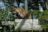 img_6040.jpg