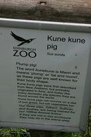 img_6194.jpg
