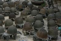 turtles?