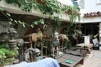img_5224.jpg