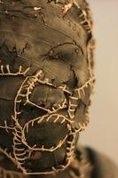 Face detail