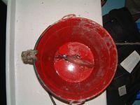 Squid in bucket!