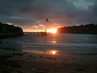 DSCF0268.JPG