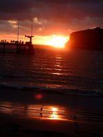 DSCF0270.JPG