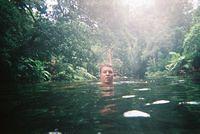 a swim in the jungle