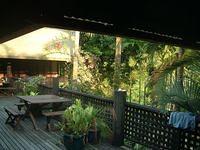 Hostel in the jungle