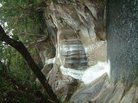 DSCF0447.JPG