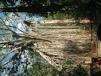 DSCF0458.JPG