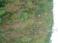 DSCF0465.JPG