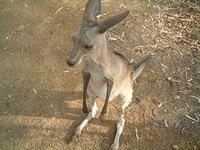 DSCF0474.JPG