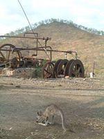 DSCF0476.JPG