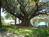 DSCF0024.JPG
