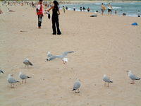 DSCF0050.JPG