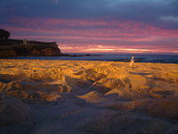 DSCF0123.JPG